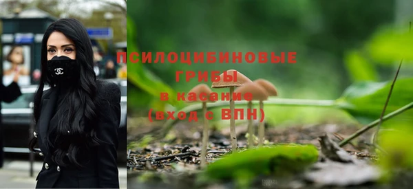 ГАЛЛЮЦИНОГЕННЫЕ ГРИБЫ Алексин