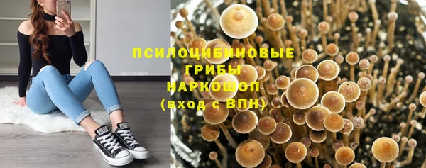 PSILOCYBIN Алексеевка