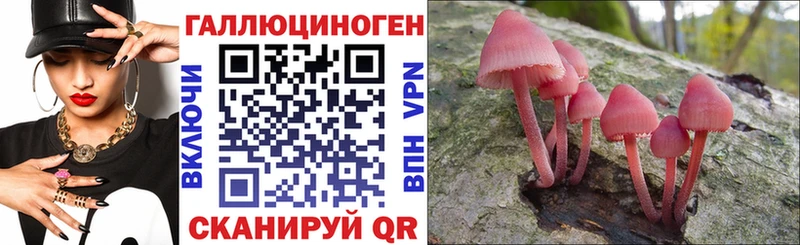 Галлюциногенные грибы Magic Shrooms  магазин  наркотиков  МЕГА зеркало  Кинель 