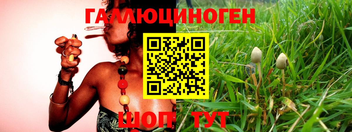 Псилоцибиновые грибы мицелий  Вход с VPN  даркнет сайт  Кинель 